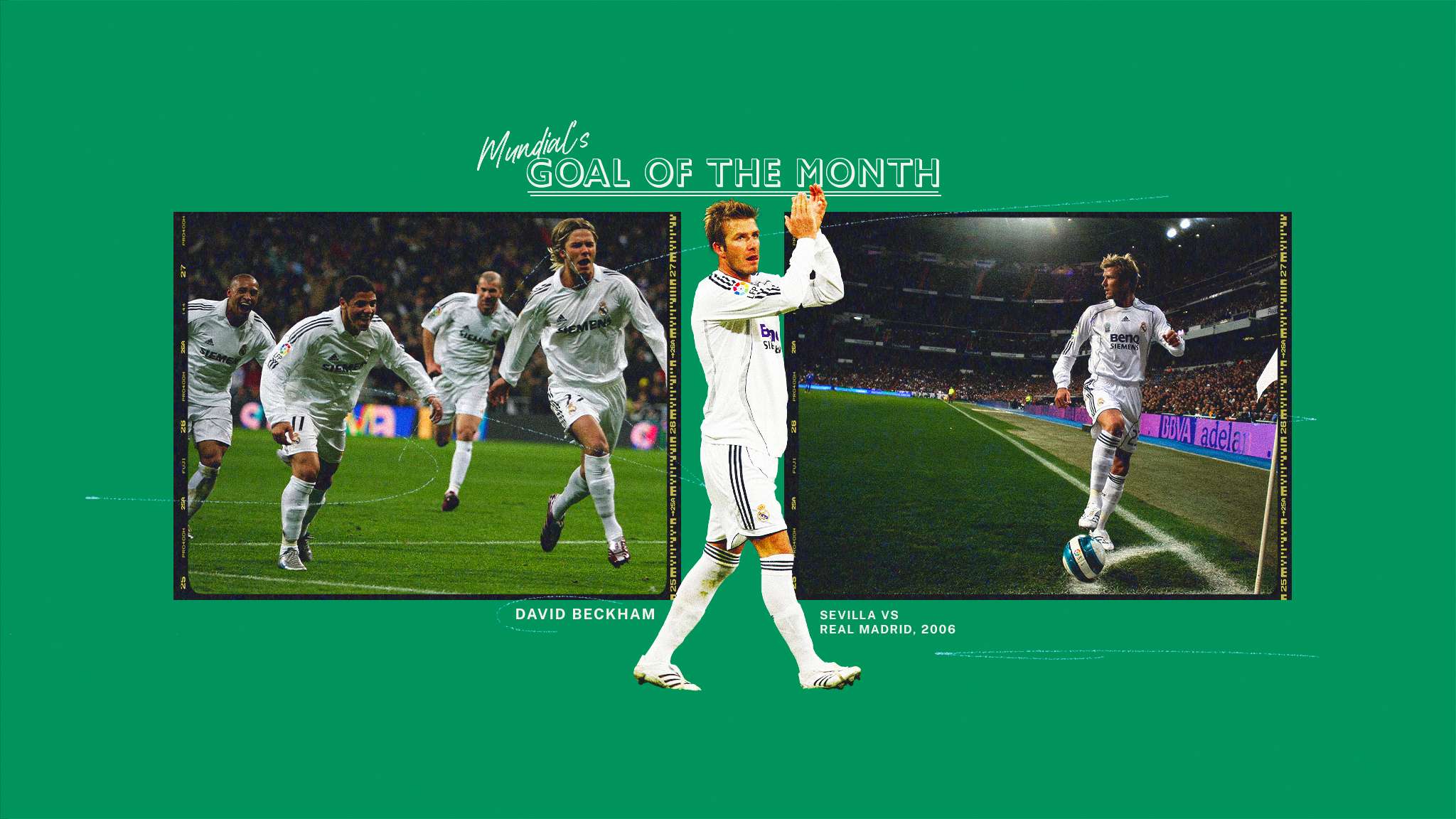 领域的进步 领域的进步